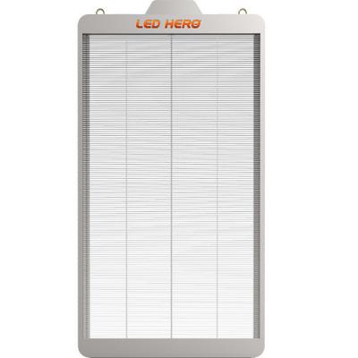 Standard Size Transparent LED Display